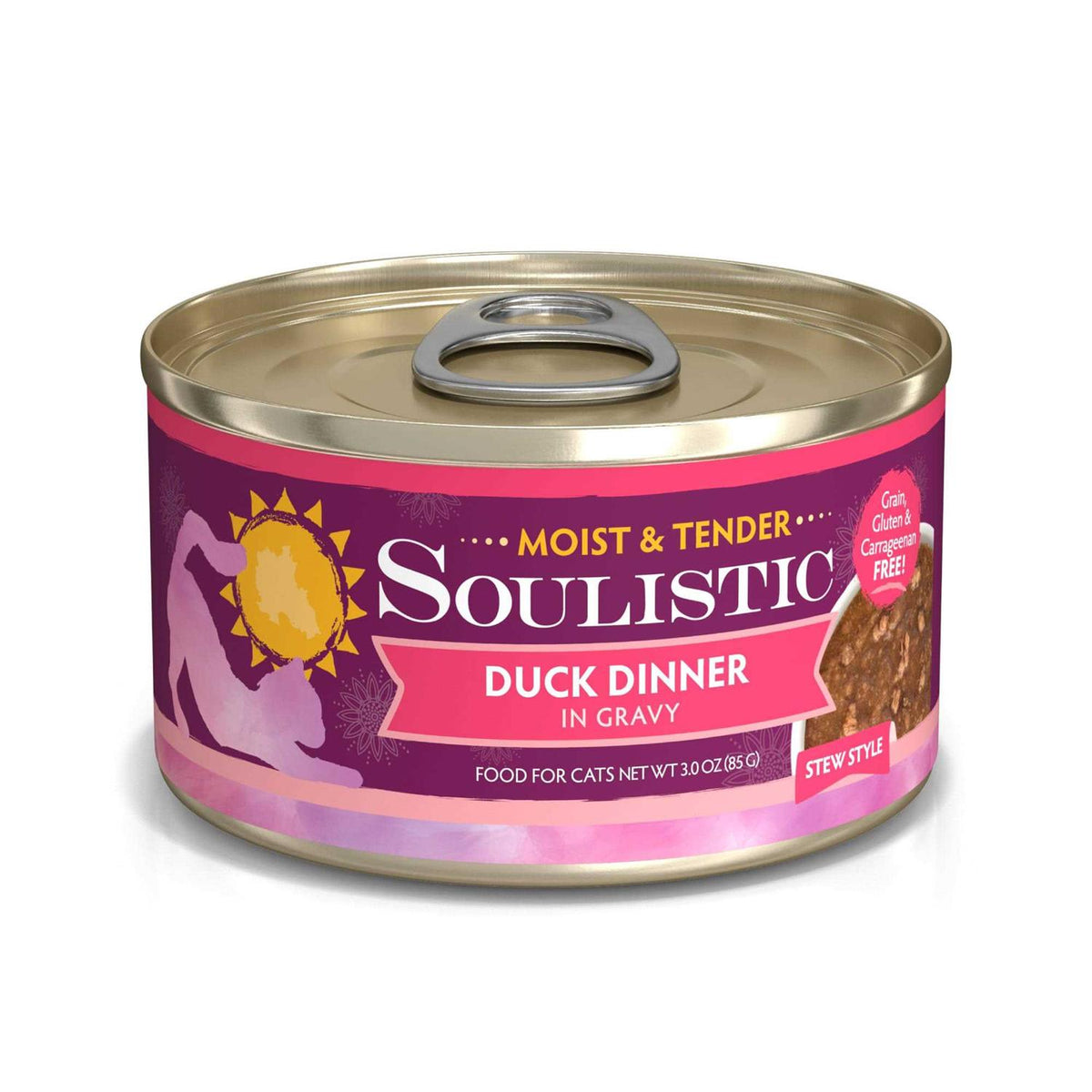 Wet Cat Food R6341