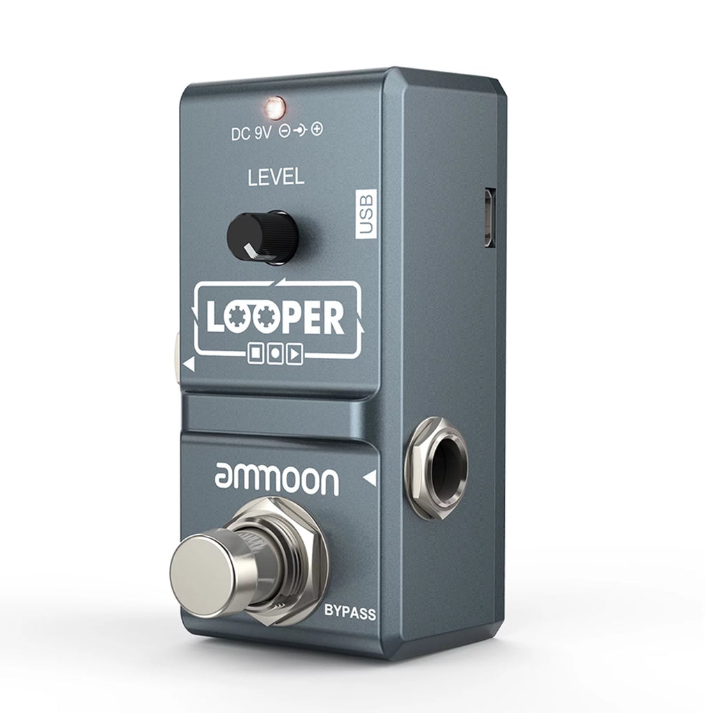 Loop Electric Guitar Effect Pedal with Recording C2048