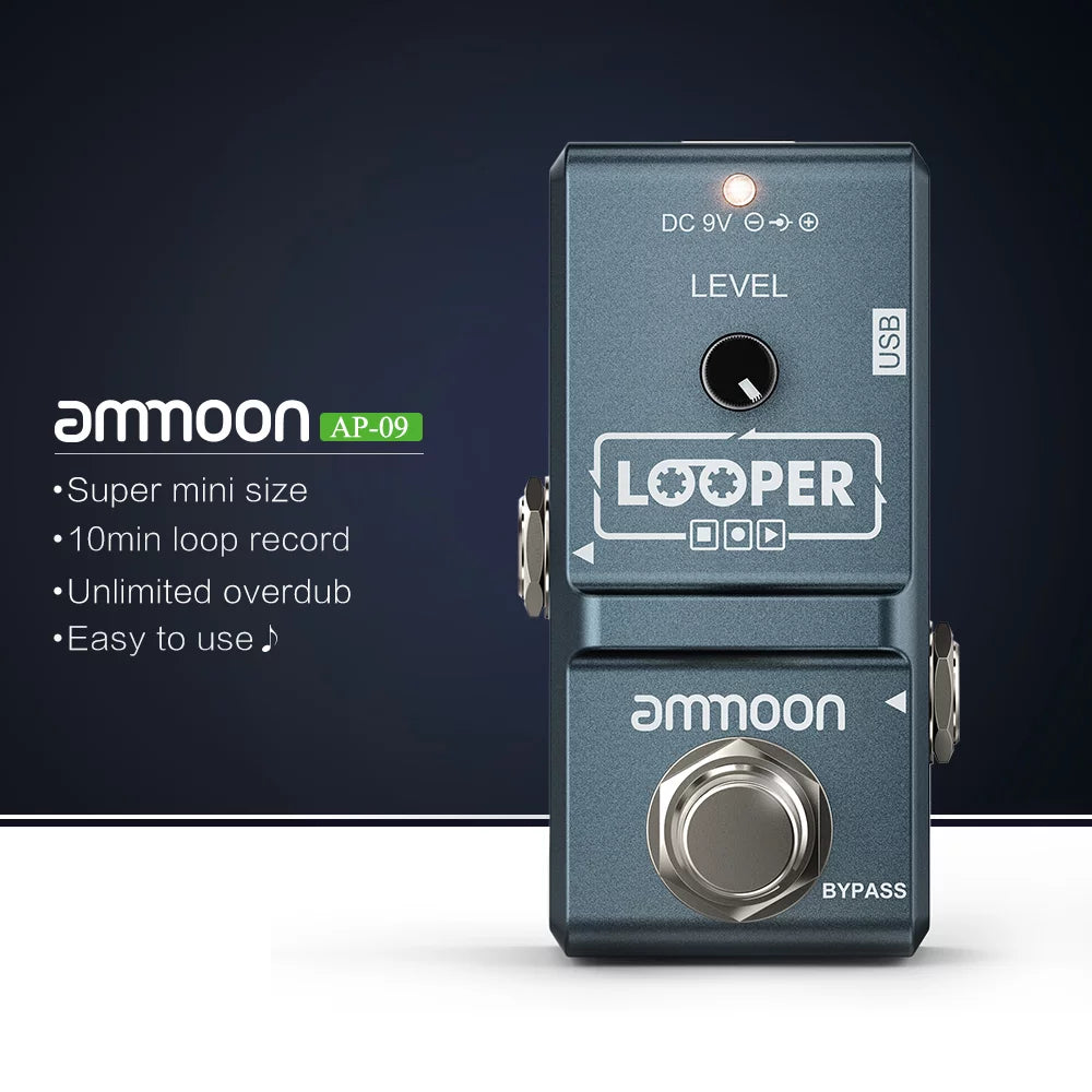 Loop Electric Guitar Effect Pedal with Recording C2048