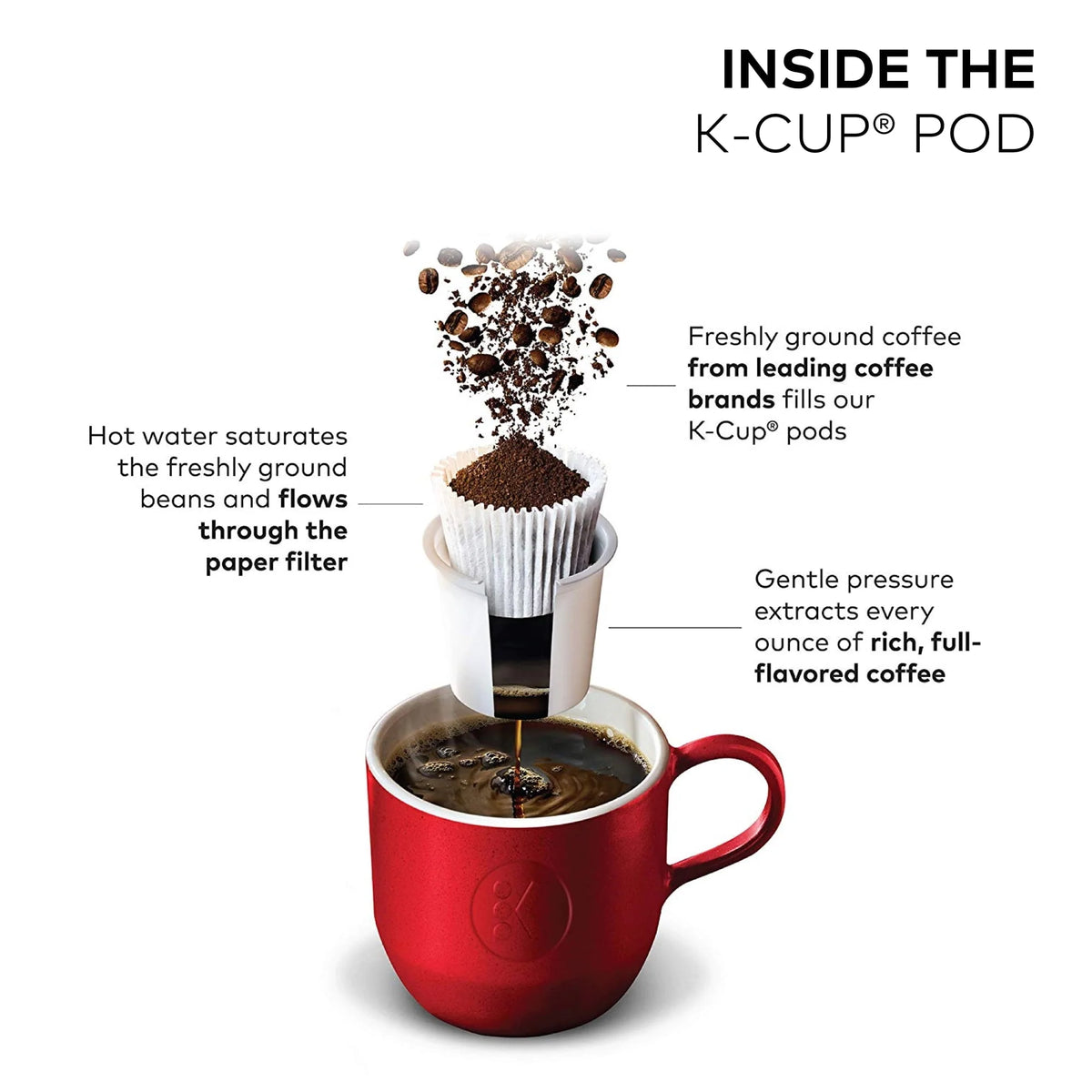 Single Serve & Carafe Coffee Maker D853
