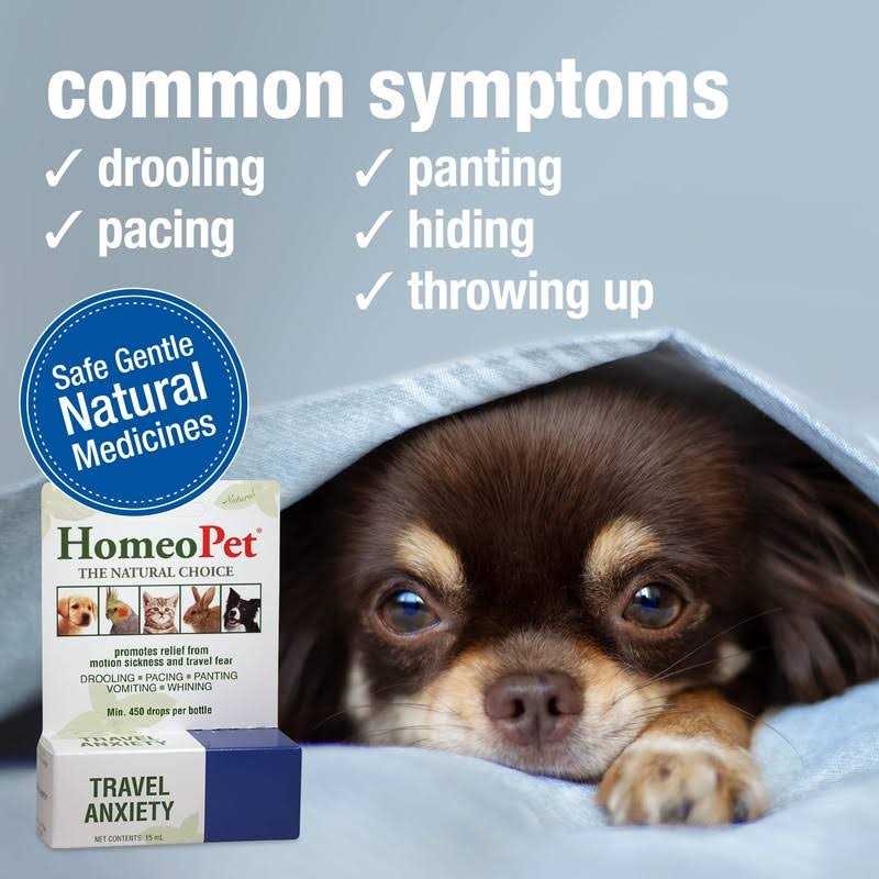 Travel Anxiety Pet Supplies W2982