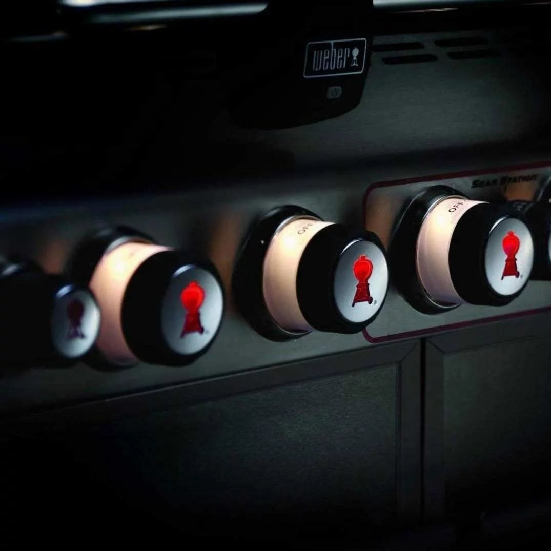 Black Natural Gas Grill with Rotisserie E646