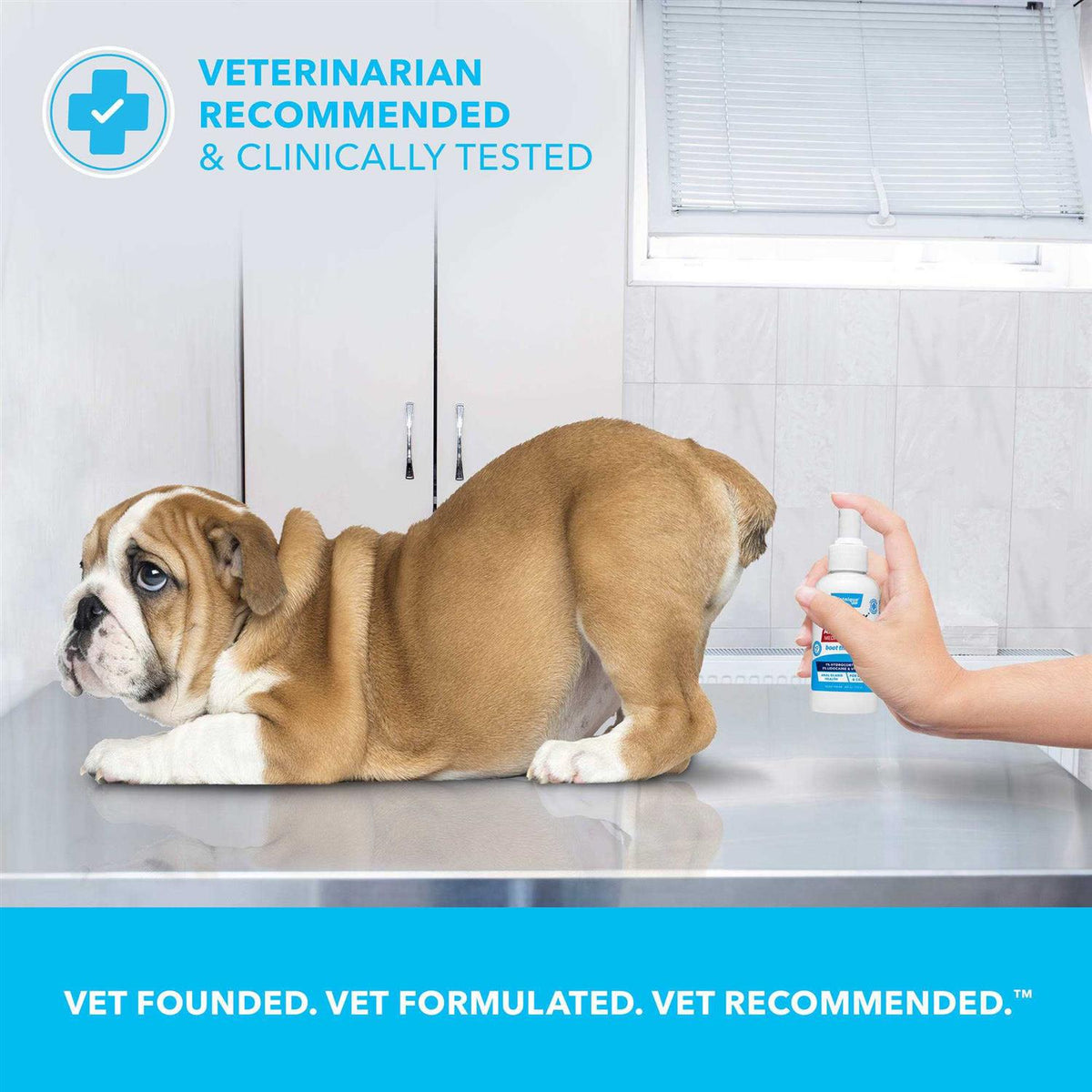 Medicated Anal Gland Spray for Dogs & Cats K8728
