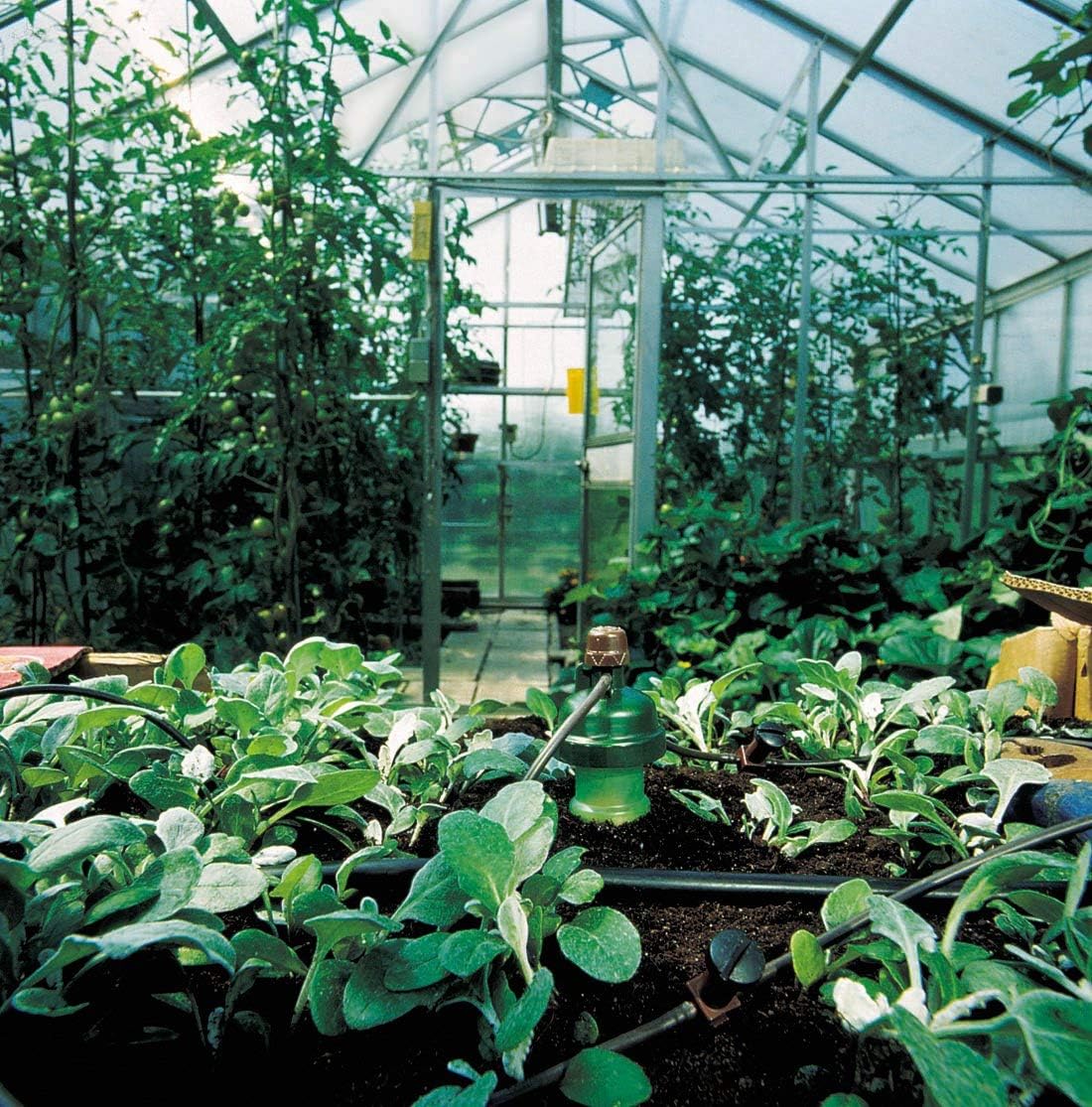 Automatic Watering System 6 Pack B635