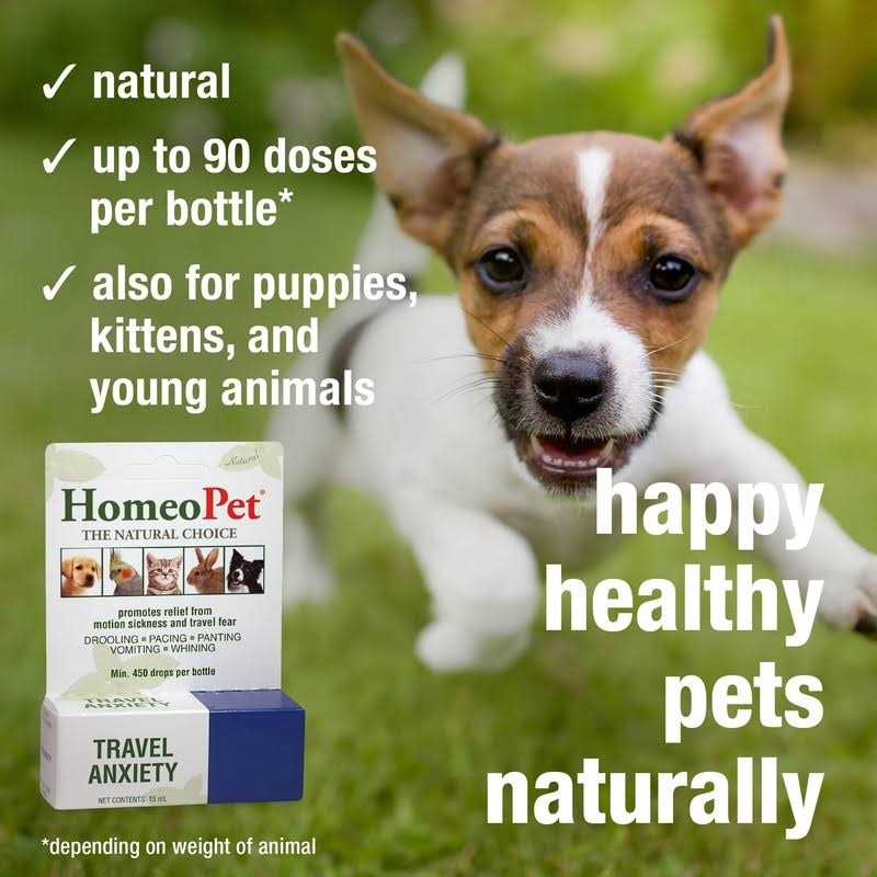 Travel Anxiety Pet Supplies W2982