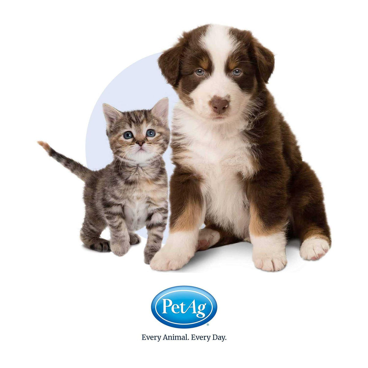 Pet Gel S3256