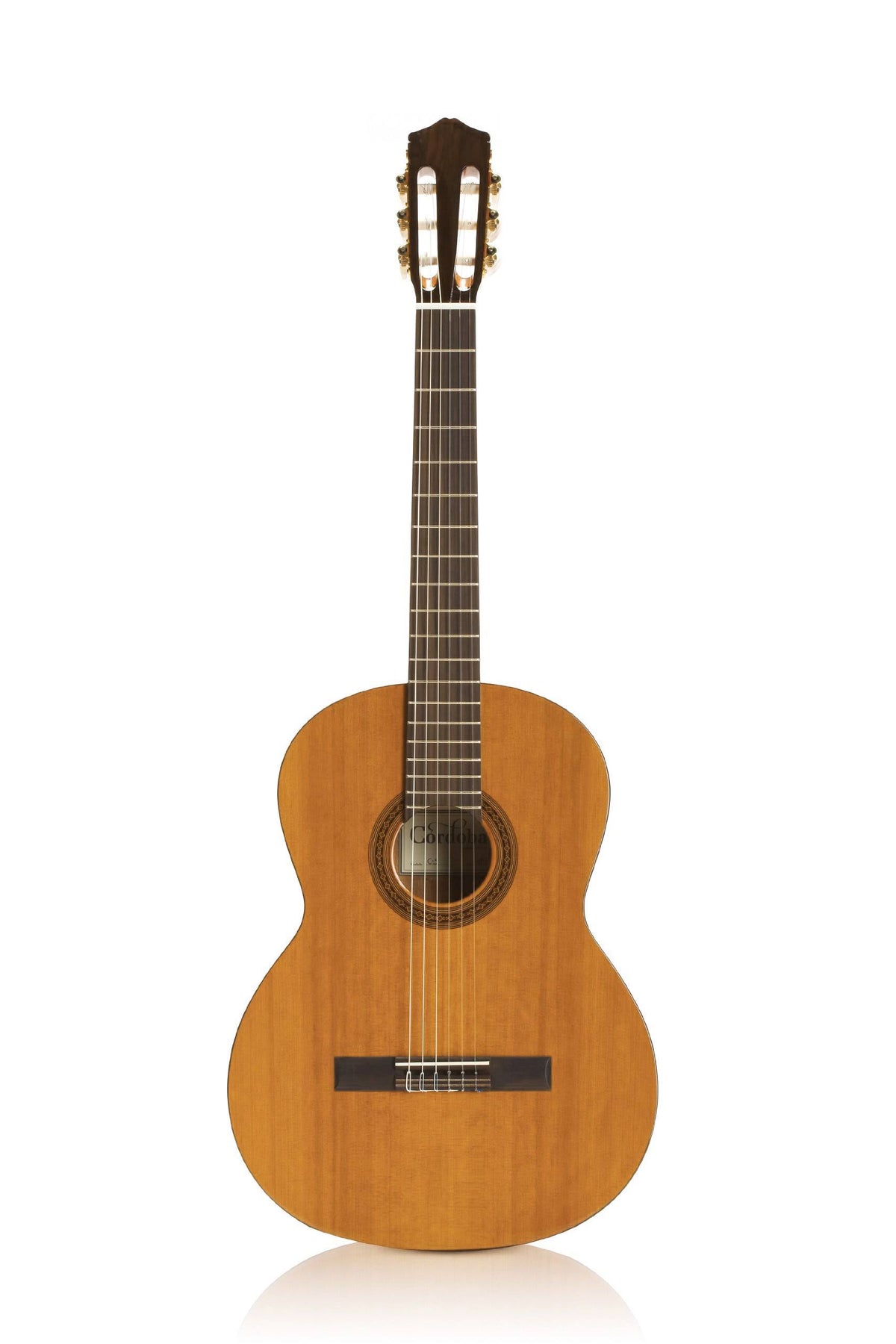 Nylon String Classical Guitar M744