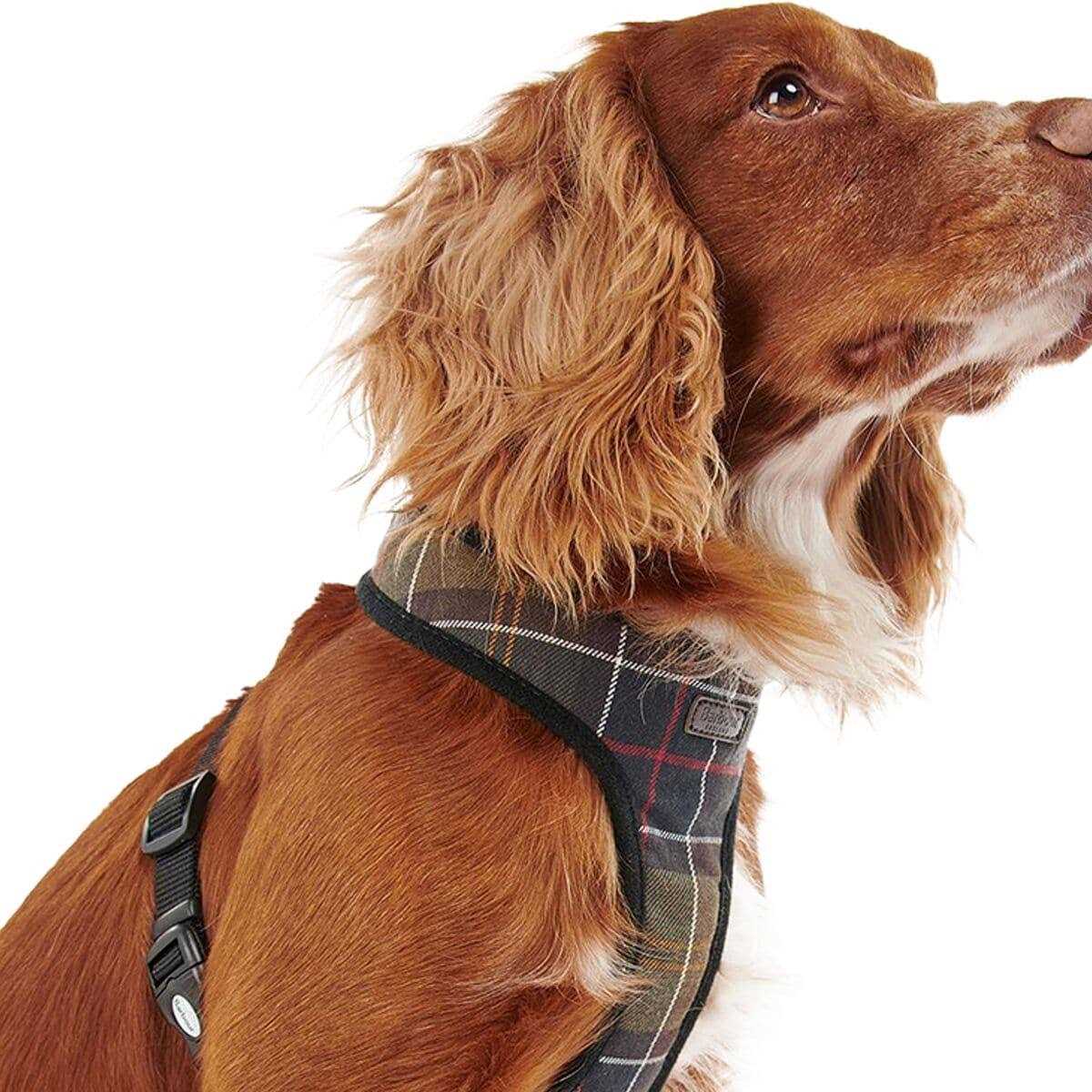 Tartan Dog Harness K523