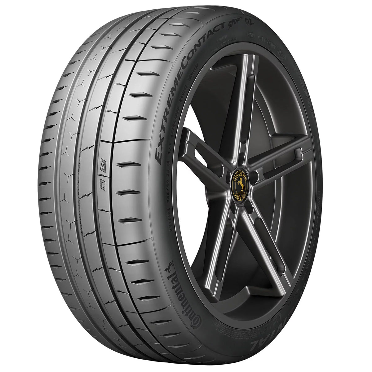 Summer 305/30ZR19 102Y XL Passenger Tire Y2269