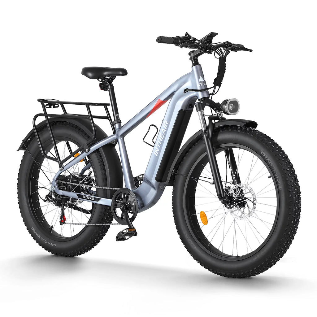 Electric Bike 26 Fat Tire 750W 48V W2235