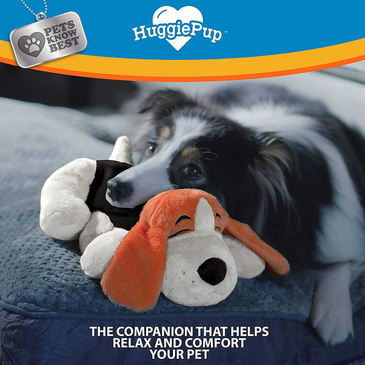 Behavioral Aid Toy I390861