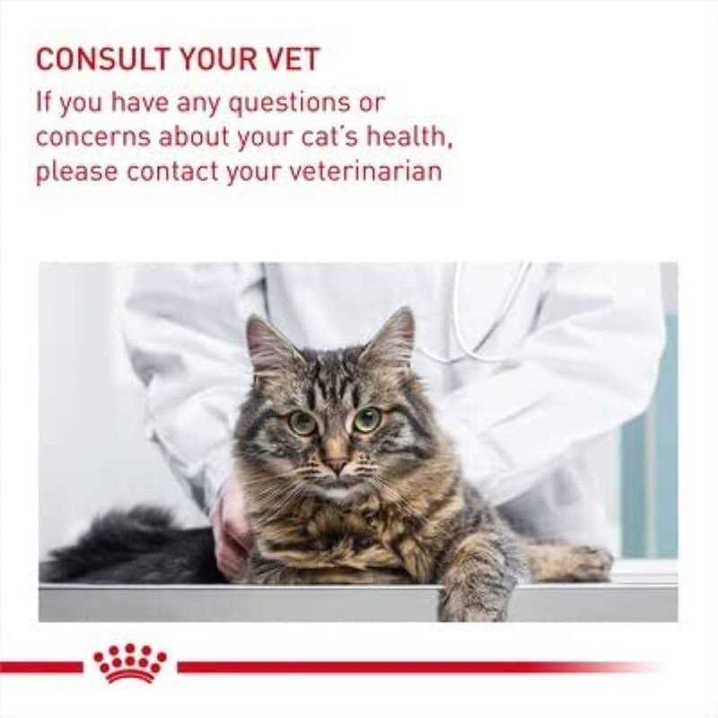 Wet Cat Food E15620