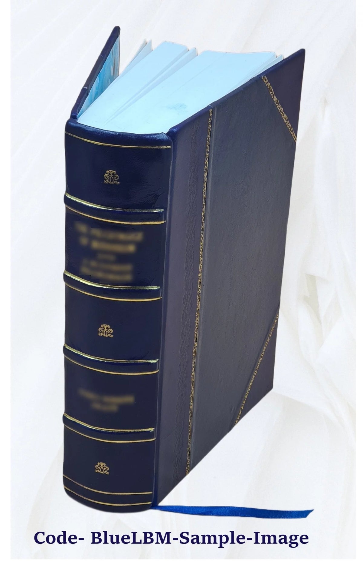 Leather Bound Book V15267