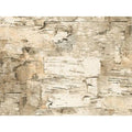 Paper Birch Gift Wrap Roll Q7300