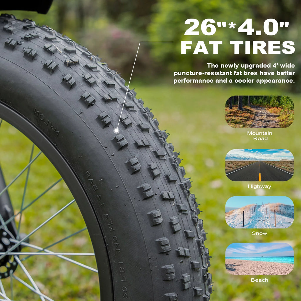 Electric Bike 26 Fat Tire 750W 48V W2235