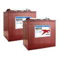 6V Deep Cycle Battery 2 Pack W8071