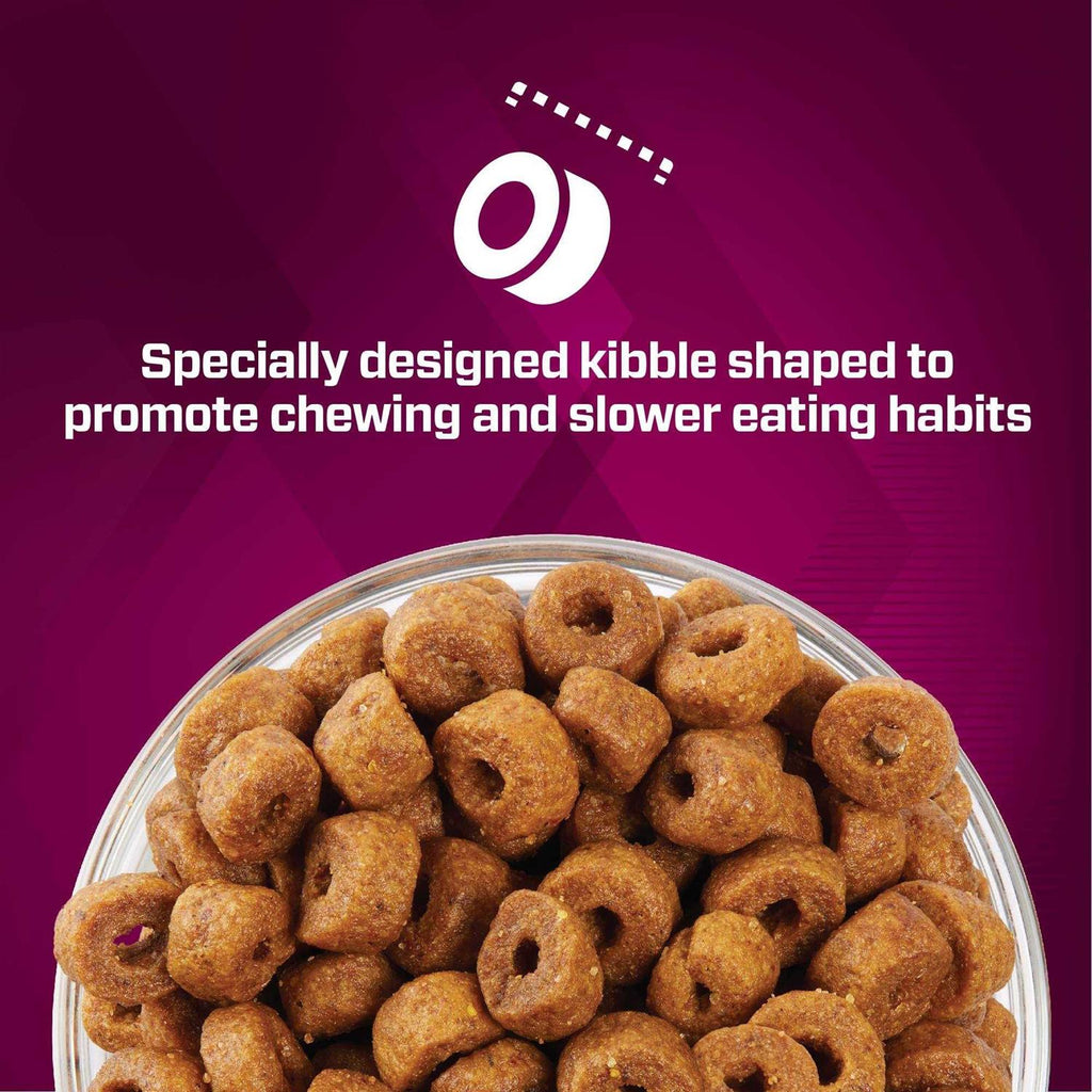 Dry Dog Food R445489