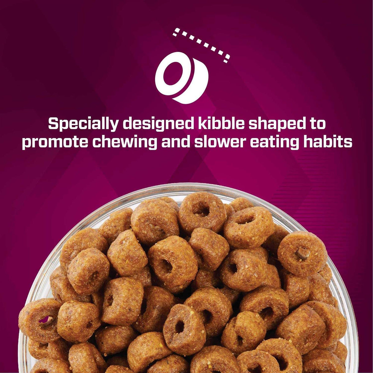 Dry Dog Food R445489