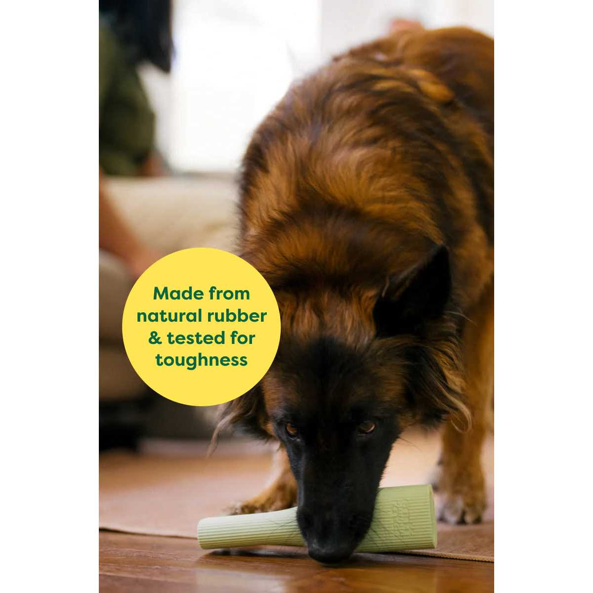 Rubber Chew Dog Toy C500