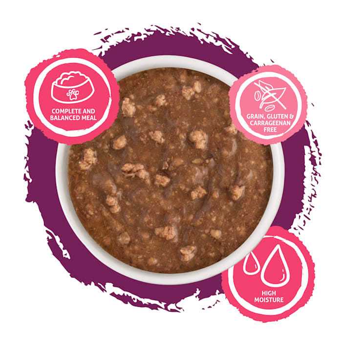 Wet Cat Food R6341