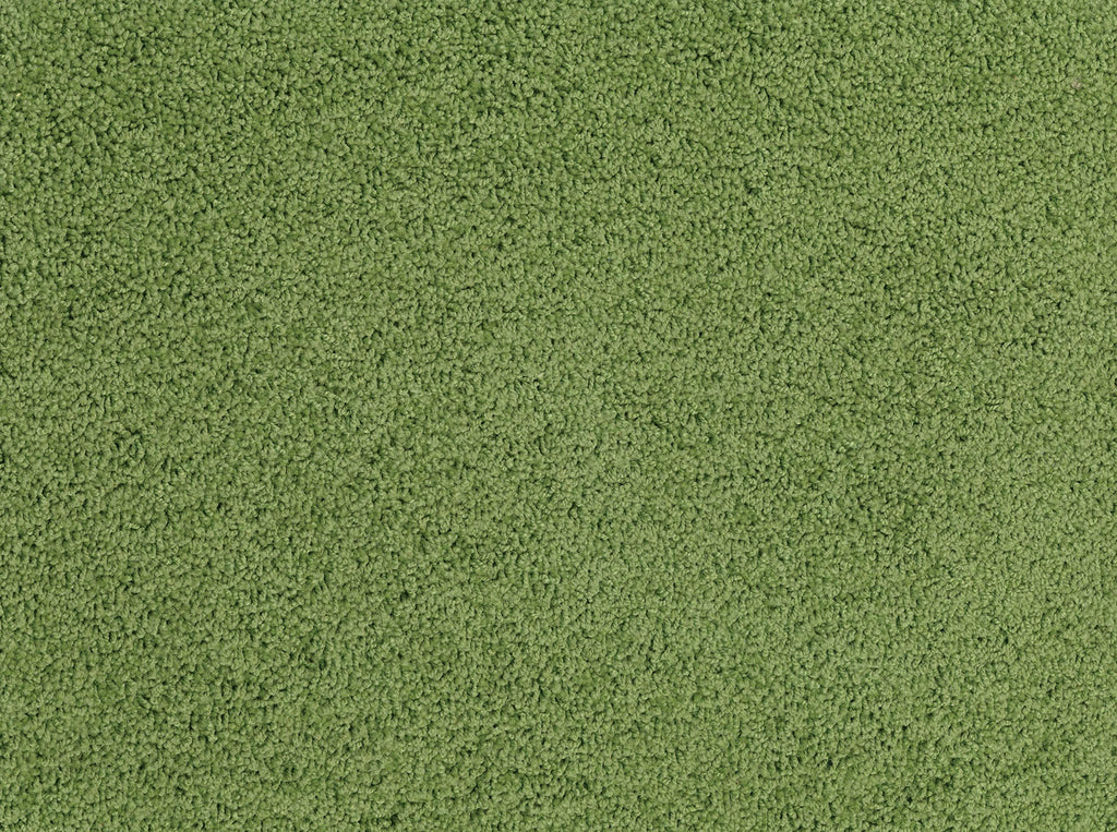 Grass Green 4x6 Rectangle Kids Carpet F479
