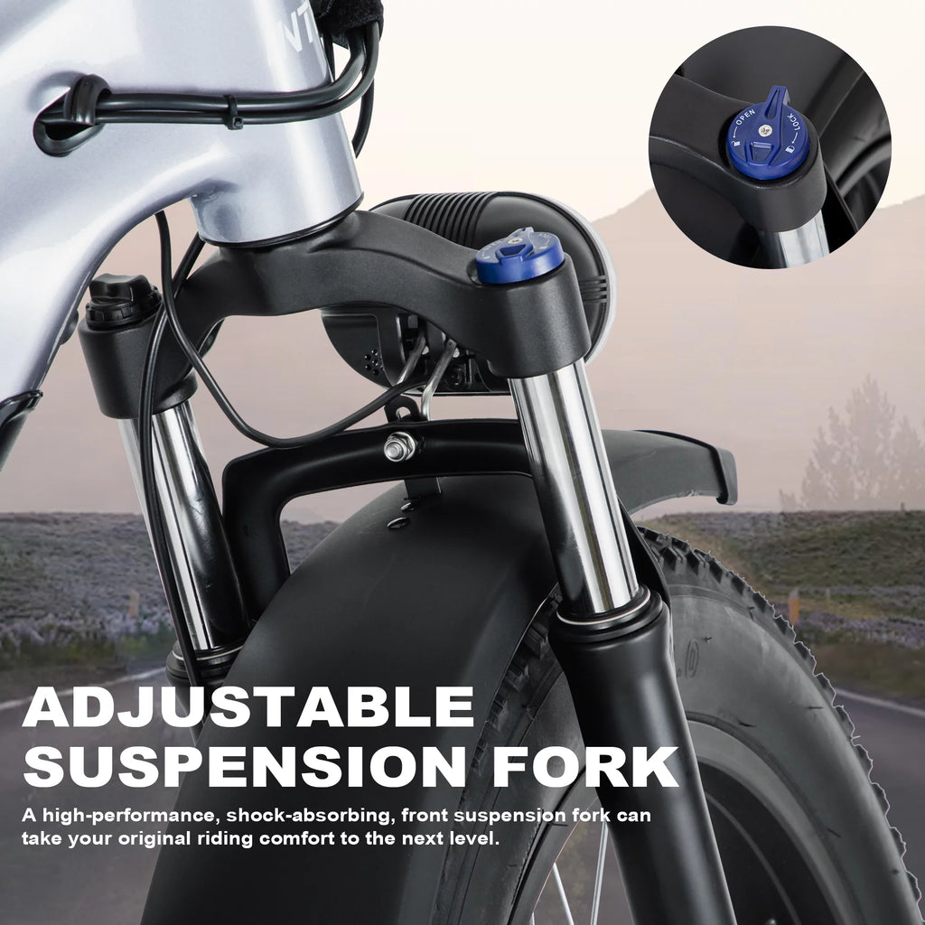 Electric Bike 26 Fat Tire 750W 48V W2235