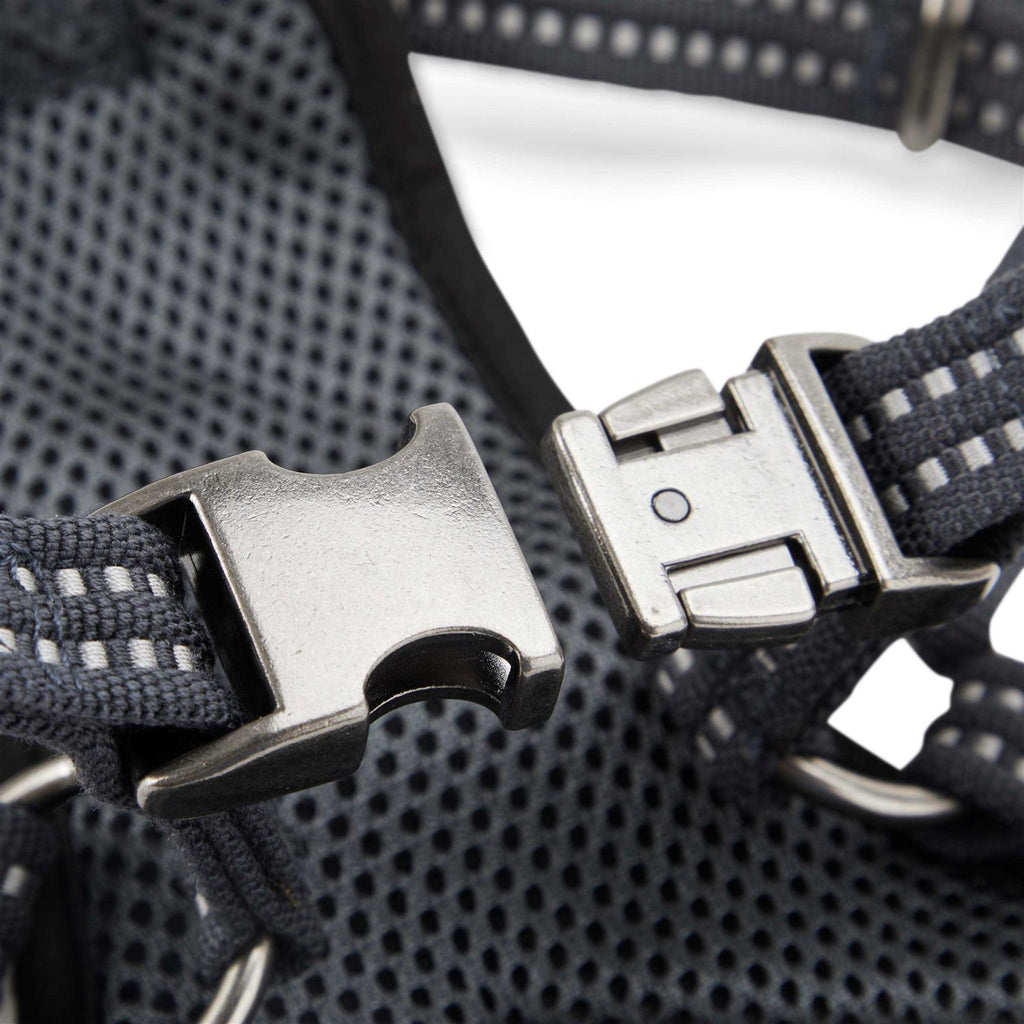 Small Dog Harness O30016