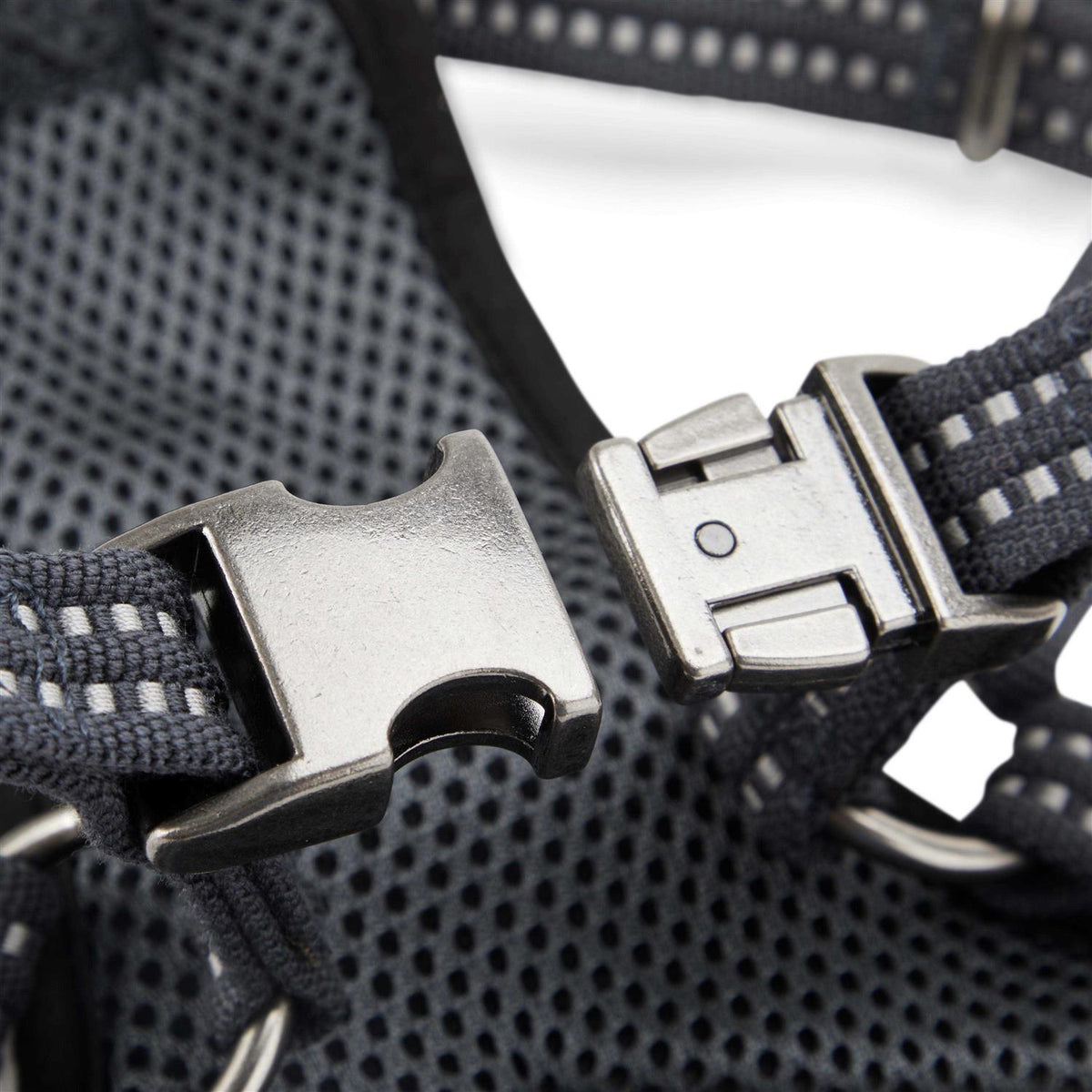 Small Dog Harness O30016