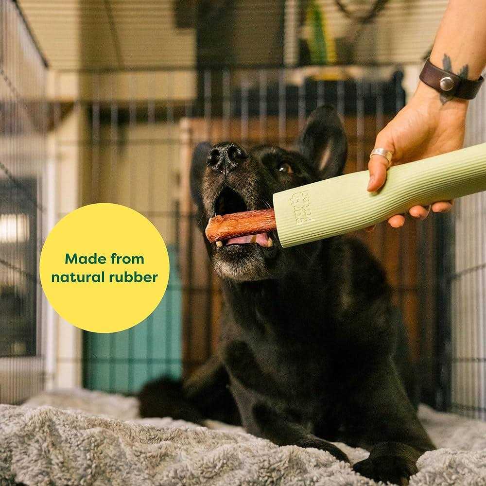 Rubber Chew Dog Toy C500