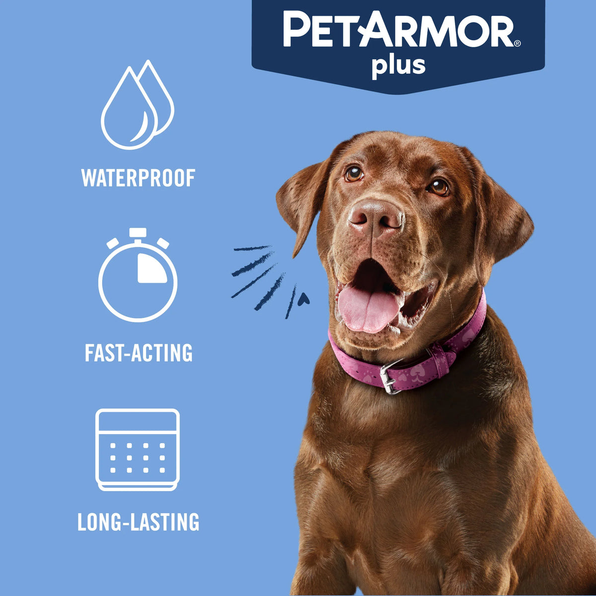 Flea & Tick Prevention for Large Dogs 3 Month Supply Z63256