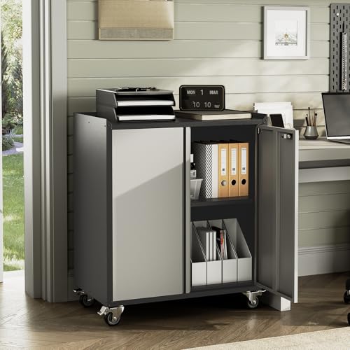 Locking Metal Cabinet with Door, Rolling Storage Cabinet with Shelves H444873