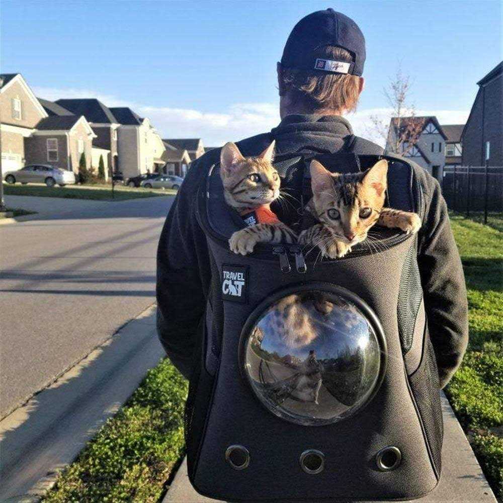 Cat Backpack L864989