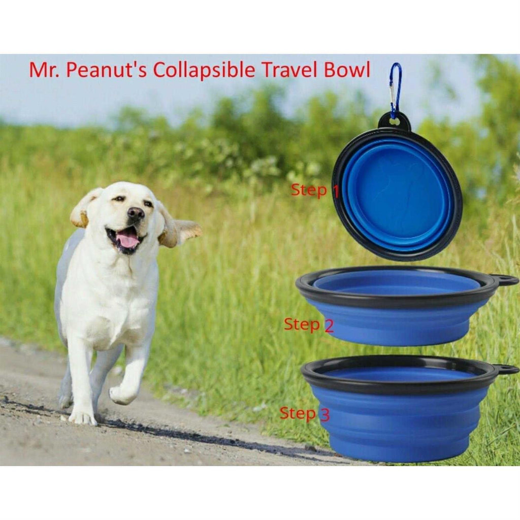 Collapsible Silicone Travel Bowls H457