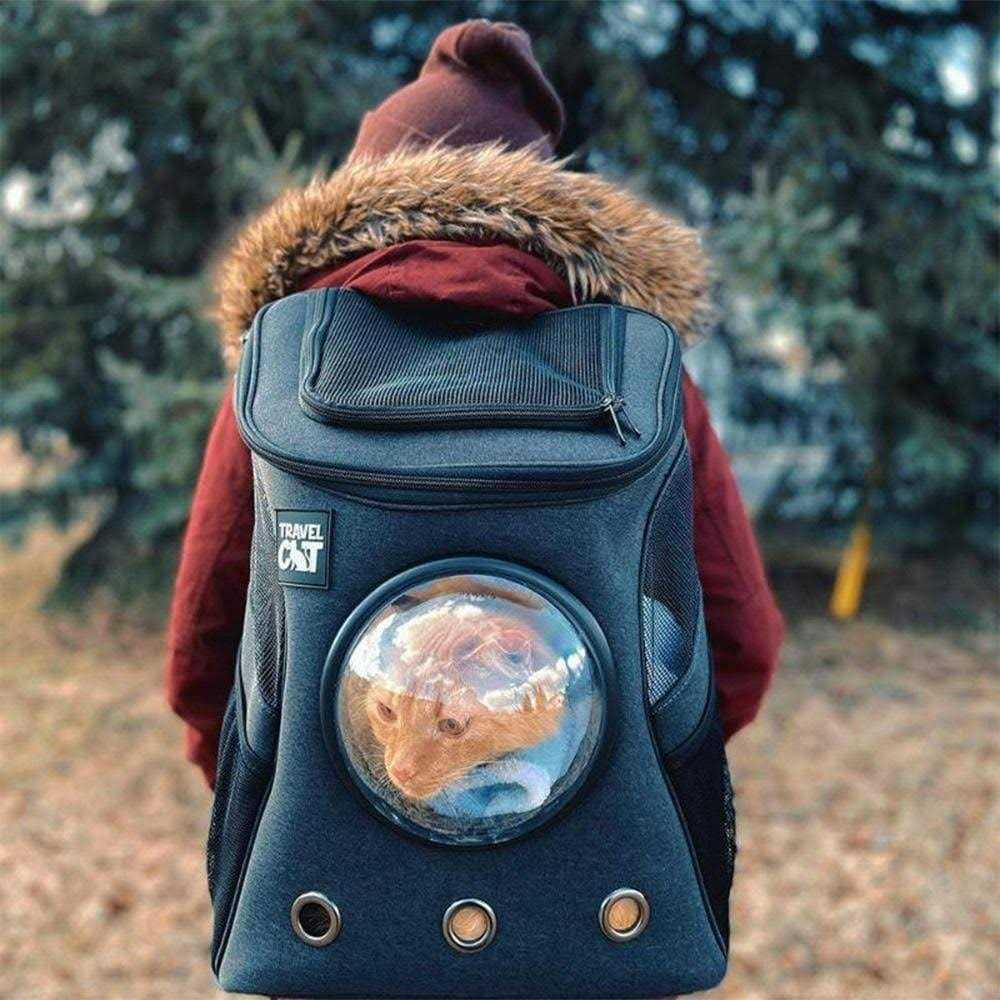 Cat Backpack L864989
