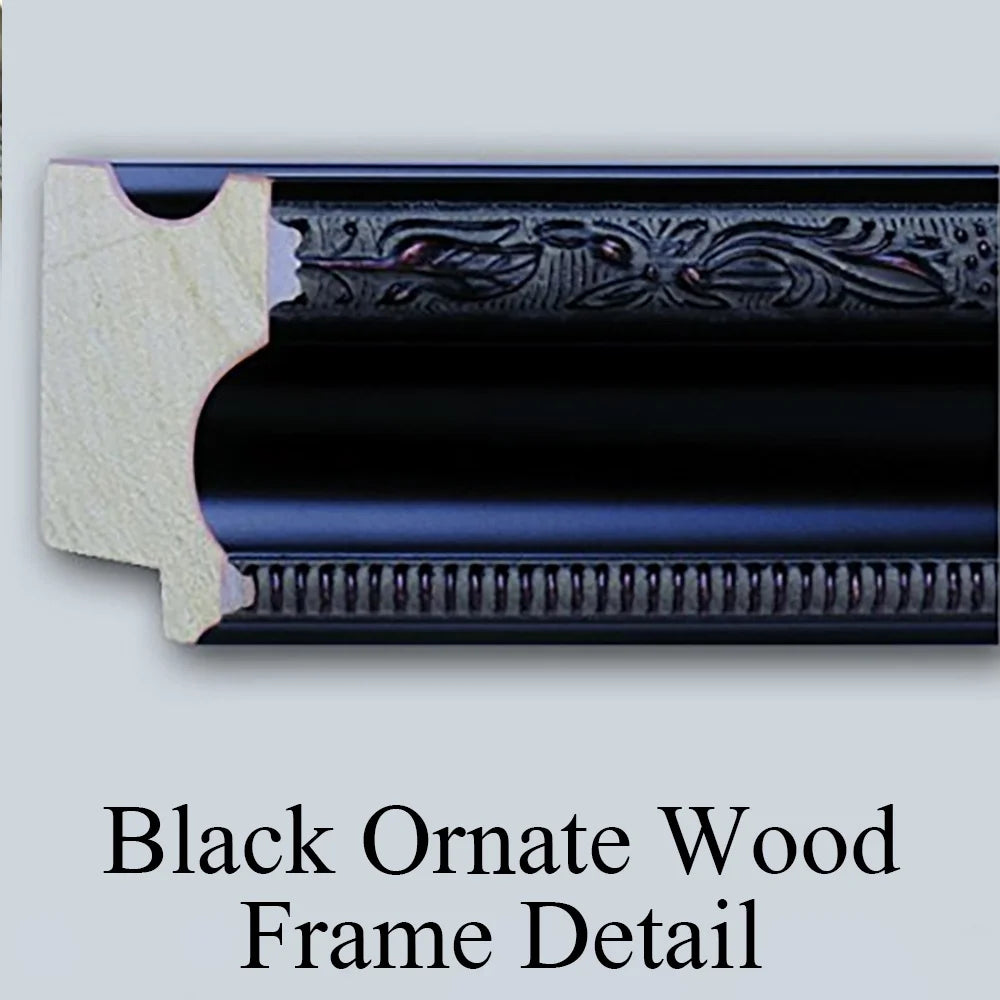 Black Ornate Framed Double Matted Museum Art Print K5430
