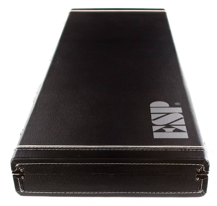 Guitar Case J16284