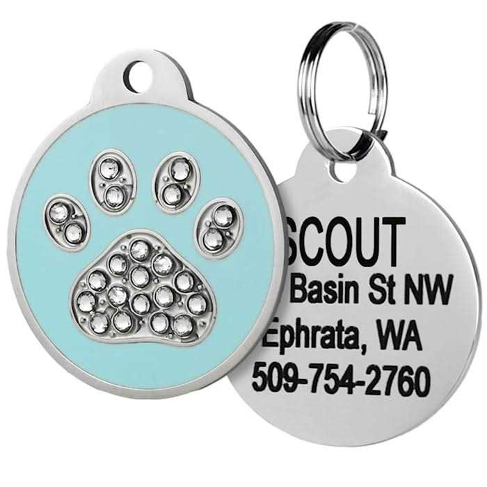Stainless Steel Personalized Dog & Cat ID Tag Q276653