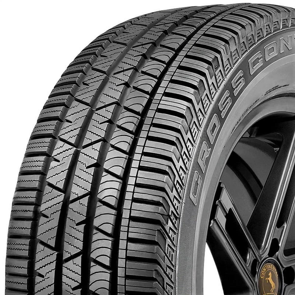 255/55R19 111W XL A/S Performance Tire C856508