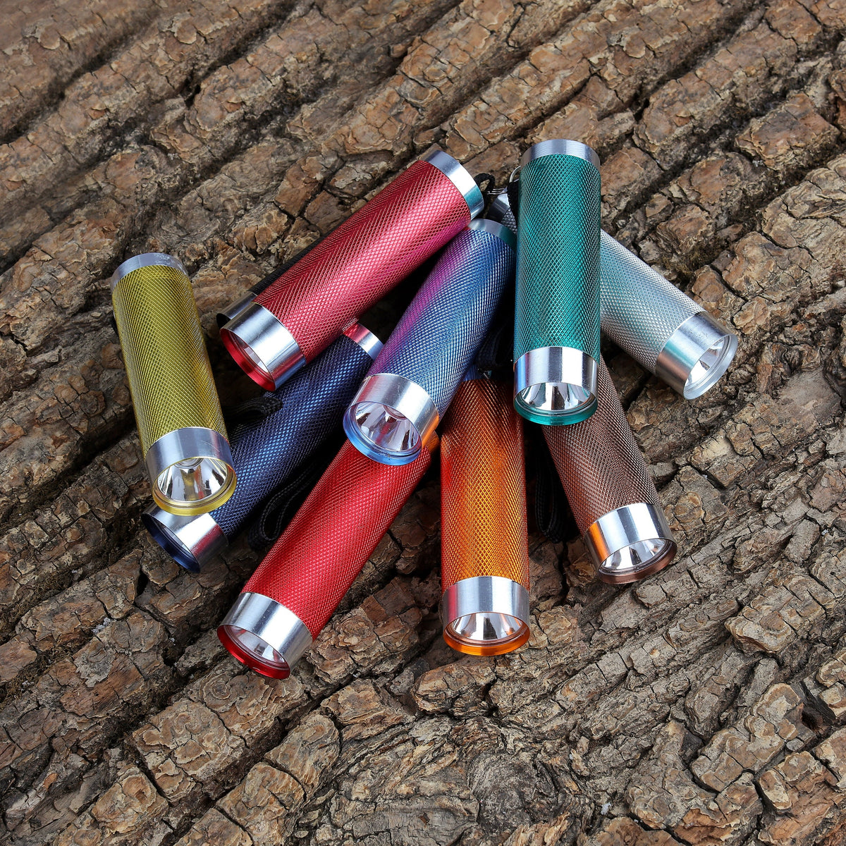 LED Flashlights 10-pack 50 Lumens Multicolor W22514