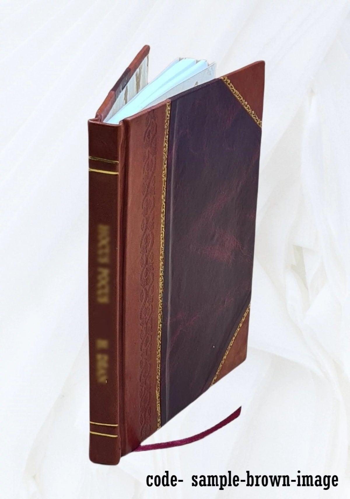Leather Bound Book J309336