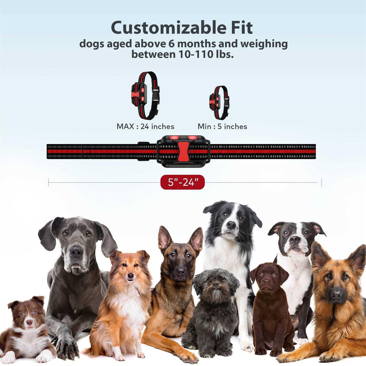 Remote Dog Training Shock Collar System V6698