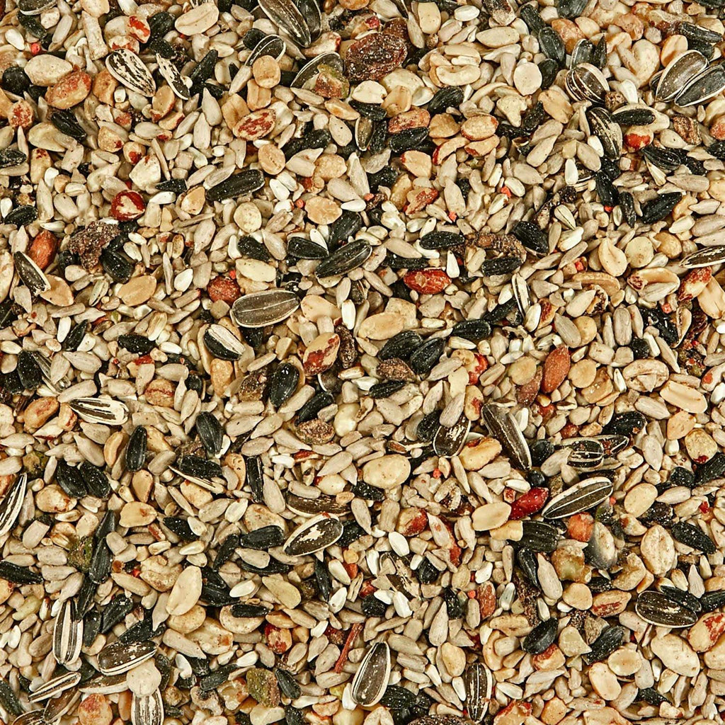 Nut & Fruit Blend Wild Bird Food I40947