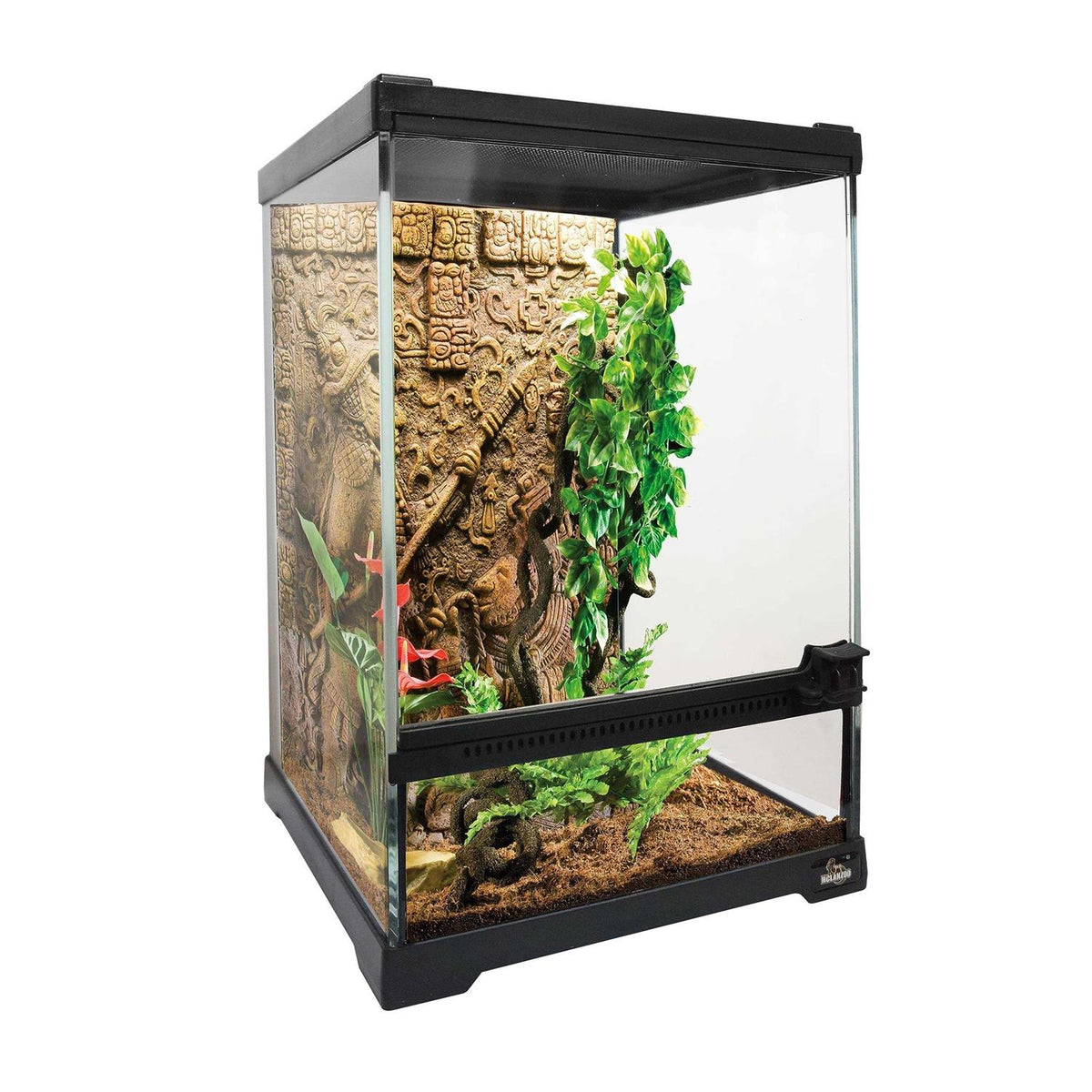 Mini Reptile Glass Terrarium Tank 8x8x12 with Front Opening Door Y51638