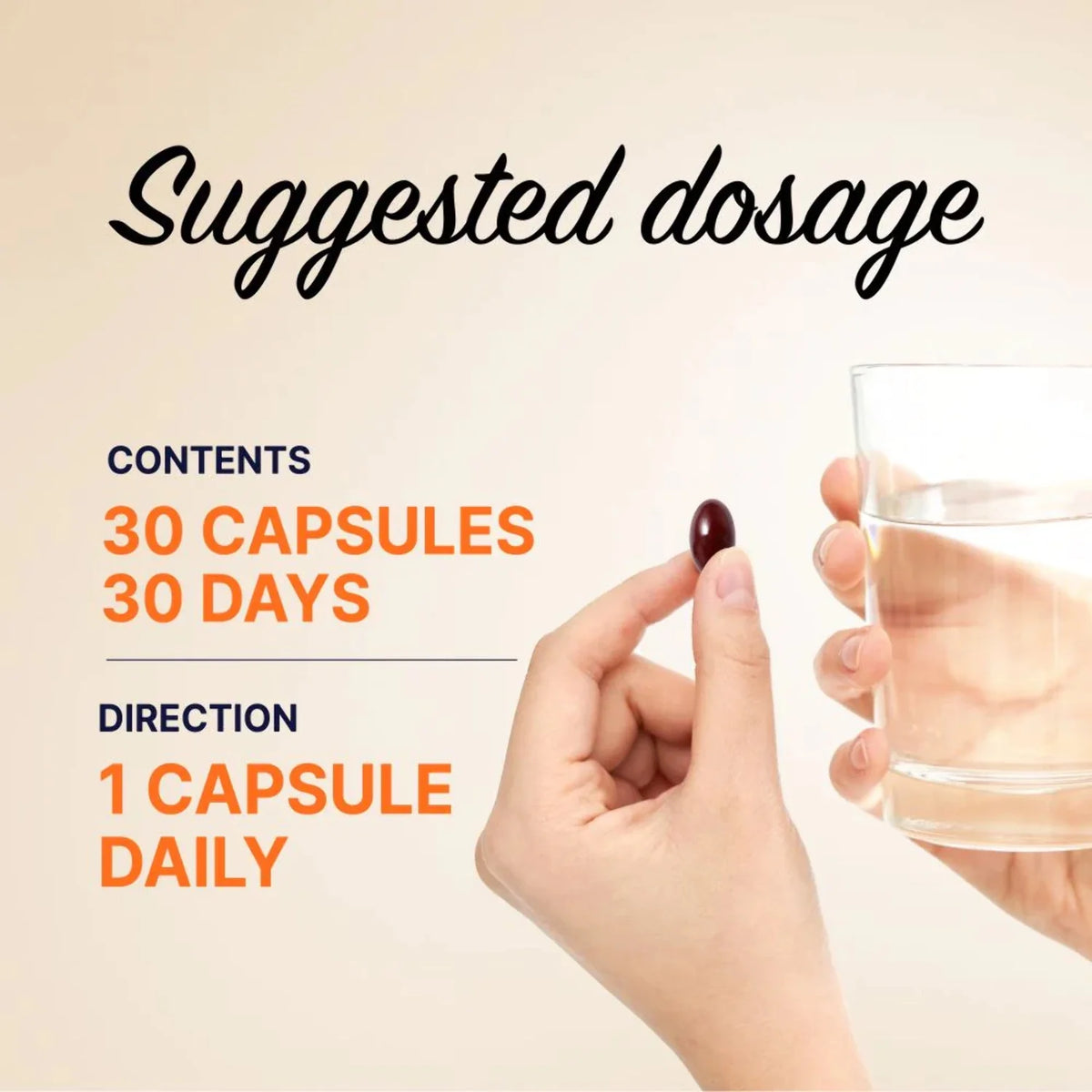 Extract Capsules 30 Capsules B2001