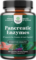 Pancreatin Digestive Enzymes 120ct V6998