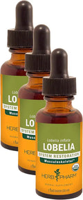 Certified Organic Lobelia Liquid Extract 1 Ounce Pack of 3 M38665