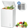 2.7 Cubic Feet White Chest Freezer R2852