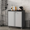Locking Metal Cabinet with Door, Rolling Storage Cabinet with Shelves H444873