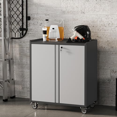Locking Metal Cabinet with Door, Rolling Storage Cabinet with Shelves H444873