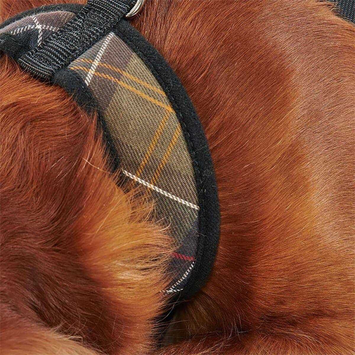 Tartan Dog Harness K523